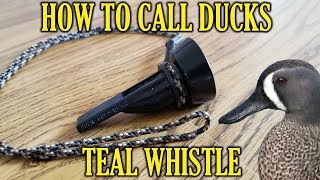 The Teal Whistle  How To Call Ducks [upl. by Angelita906]