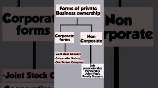 Corporate vs Non Corporate forms of Business organization [upl. by Ahsimak586]