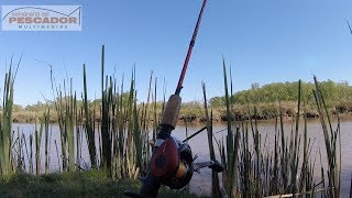 CAMPING EL LAVARROPAS PESCA VARIADA  797 [upl. by Ahsimak]