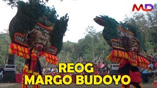 Reog Ponorogo Margo Budoyo  Festival Telaga Bleder 2018 [upl. by Hufnagel]