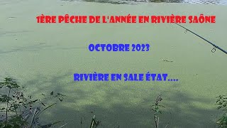 PECHE DE LA CARPE EN RIVIERE SAONE OCTOBRE 2023 REPRISE POUR MOI [upl. by Vowel16]