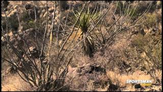 Hunting the Elusive Aoudad MeatEater TV [upl. by Carine]