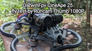 DarwinFPV CineApe 25 Fly test on Runcam Thumb 1080P [upl. by Sokairyk472]