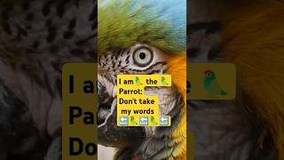 I am the ParrotDont take my words back petcollective PetsSwag MyLoveGolden66 Petsman0 [upl. by Eintruok]