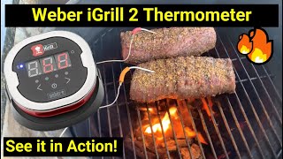 Weber iGrill 2 Digital Bluetooth Enabled GrillMeat Thermometer ● See it in Action [upl. by Attenhoj]