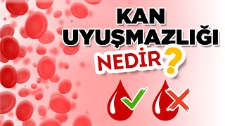 Kan Uyuşmazlığı Nedir Hangi Durumlarda Kan Uyuşmazlığı İğnesi Yapılır [upl. by Bikales]