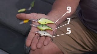 Berkley Frittisde CrankBait Reimagined Highly Effective Crankbait [upl. by Kared]