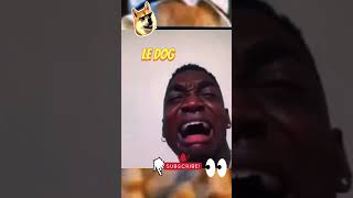 Pet Funny reel Viral funny usamemes comedyvideos memes usacomedy funnyvideos memesusa laugh [upl. by Bertasi]