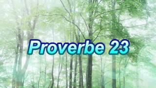 Proverbe 23 [upl. by Yerhpmuh]