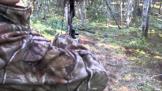 The Hunting Chronicles  Prairie Moose amp Alberta Bruins [upl. by Legra]