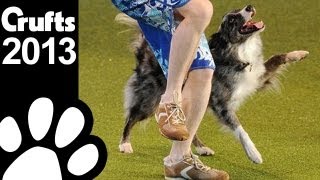 Freestyle Heelwork to Music  2nd Place  Crufts 2013 [upl. by Acirem]