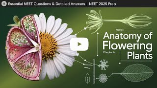 Anatomy of Flowering Plants NEET Biology Question and Answer [upl. by Anne-Corinne554]