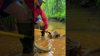 Sneak Peek Finding Beautiful Eastern NC Gold with a highbanker at the Nc Treasure Hunters CampGround [upl. by Enovaj]