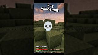 Minecraft Most Rarest Moment🗿💀 [upl. by Garceau]