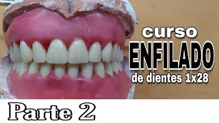 PRÓTESIS TOTAL ENFILADO o ARTICULADO DE DIENTES INFERIORES  Parte 2 [upl. by Haelam]