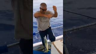 Majorca Balearic islands fishing holiday [upl. by Weitman]