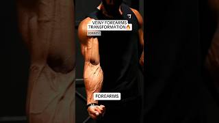 🤯Crazy Forearm Transformation With Hand Gripper forearms handgripper fitnessshorts [upl. by Eulalia168]