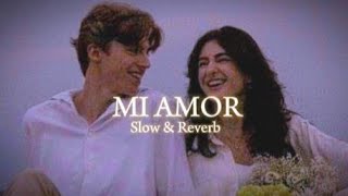 Mi Amor Slowed  Reverb  Sharn  Desi Avenue viralvideo song [upl. by Vassily]