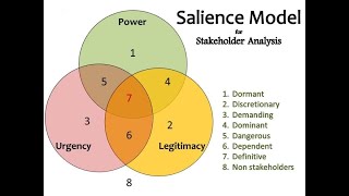 Stakeholder Salience Model [upl. by Aicenek]