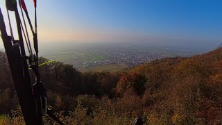 Paragliding Ölberg Schriesheim  herbstlicher Sonnenschein 09112024 [upl. by Id]