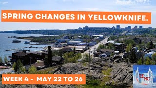 Spring Changes in Yellowknife  Week 4  May 22 to May 26 [upl. by Bierman]