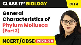 General Characteristics of Phylum Mollusca Part 2  Class 11 Biology Chapter 4  NCERTCBSE [upl. by Farman]