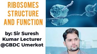 Ribosomes structure and function Ribosomes class 11 NEET MDCAT Hindi Urdu Sir Suresh Kumar [upl. by Hamehseer]