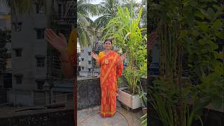 Sugarcane Plant at Rooftop Garden 😍 sugarcane rooftopgarden plantation trending viralvideo akh [upl. by Hcurob]