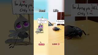 POV SAVING MOSQUITO video parody of drawforfunyt robloxedit roblox memes funny [upl. by Anna]