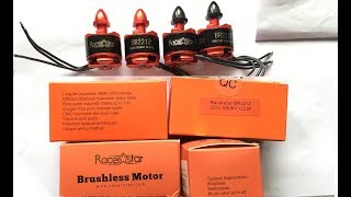 Racerstar Racing Edition BR2212 980KV Brushless Motor From Banggood Unboxing [upl. by Etteuqram]