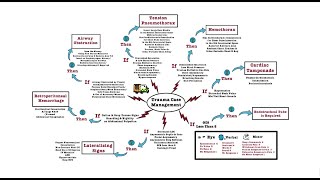 Trauma Case Management  OSCE [upl. by Aznofla190]