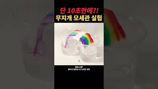 수상할 정도로 긴 1초 무지개다리 experiment science capillary capillarity rainbow bridge 모세관현상 모세관 [upl. by Cassilda625]