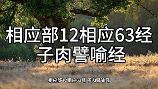 105相应部12相应63经 子肉譬喻经（白话佛经）解说 [upl. by Lewison]