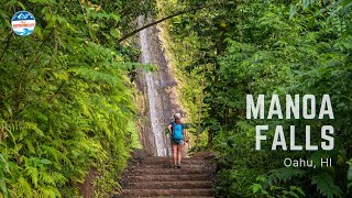 A Quick Guide on Hiking Manoa Falls in Oahu Hawaii [upl. by Dorothi]