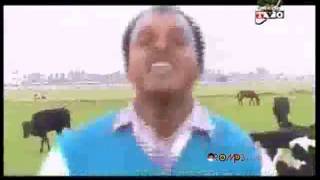 Alemayehu W Mariam  Saawwan Oromo Music [upl. by Mosira]