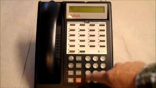 Avaya Phones System [upl. by Anneirb]