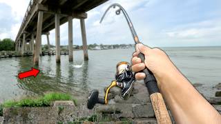 Eating Whatever I Catch Fishing UNDER the Bridge Catch and Cook [upl. by Ycat]