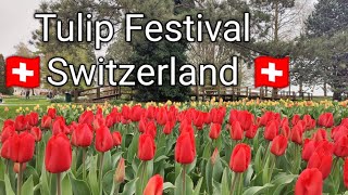 Tulip Festival morges Switzerland🇨🇭🌷Fête de la Tulipe in Morges  Parc de l’Indépendance in Morges [upl. by Olbap997]