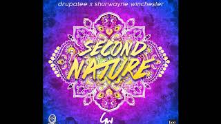 Drupatee amp Shurwayne Winchester  Second Nature 2019 Chutney Soca [upl. by Pega]