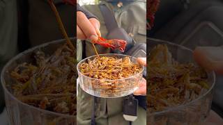 KULINER EKSTRIM GUNUNG KIDUL🦗 food jajanan [upl. by Suirtimid]