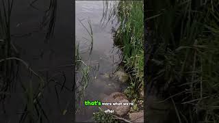 Fishing Next to a WATERFALL 🤯 fishing waterfall fyp viral shorts youtube bass bassfishing [upl. by Evania]