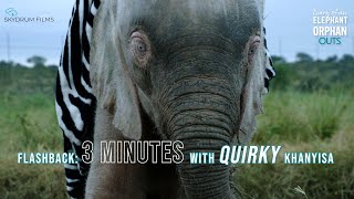 Flashback 3 minutes with quirky baby Khanyisa play elephantdocumentary khanyisa babyanimal [upl. by Anitsrik]