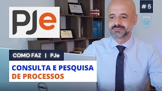 COMO FAZ  PJe  Consulta e Pesquisa de Processos no PJe [upl. by Dlonyer576]