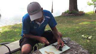 LearntoFishOnline  How to fillet a fish [upl. by Adnotal473]