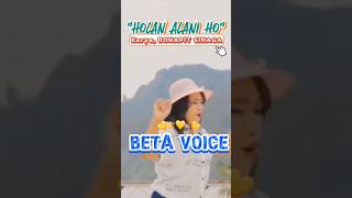 Holan Alani Ho Karya Bonapit Sinaga by Beta voice [upl. by Eltrym]