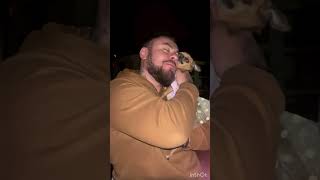 Little Chihuahua Princess Waited Big Daddy from the Work to Get some Kisses and love dog [upl. by Chloris]