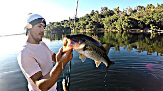 Fishing Dixon Lake With Live Shiners [upl. by Nnyla]