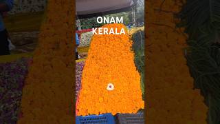 Onam Kerala keralatourism onam kerala exploreandhra thrissur [upl. by Dosh]