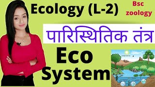 Ecology L2 Ecosystem in hindi bsc zoology  knowledge adda aquatic ecosystem forest ecosystem [upl. by Cud]