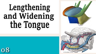 08 Lengthening and Widening the Tongue  Learning to Control Your Neck and Head [upl. by Theron449]